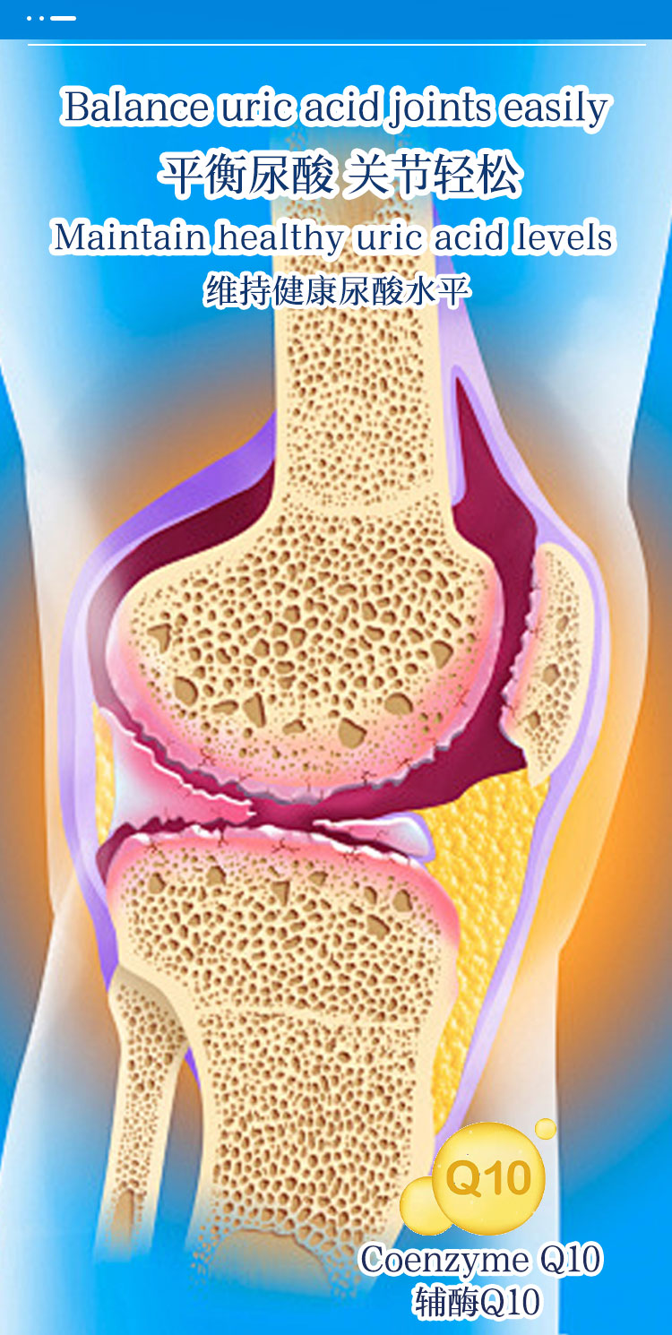 SINGCHOICE URIC ACID CONTROL