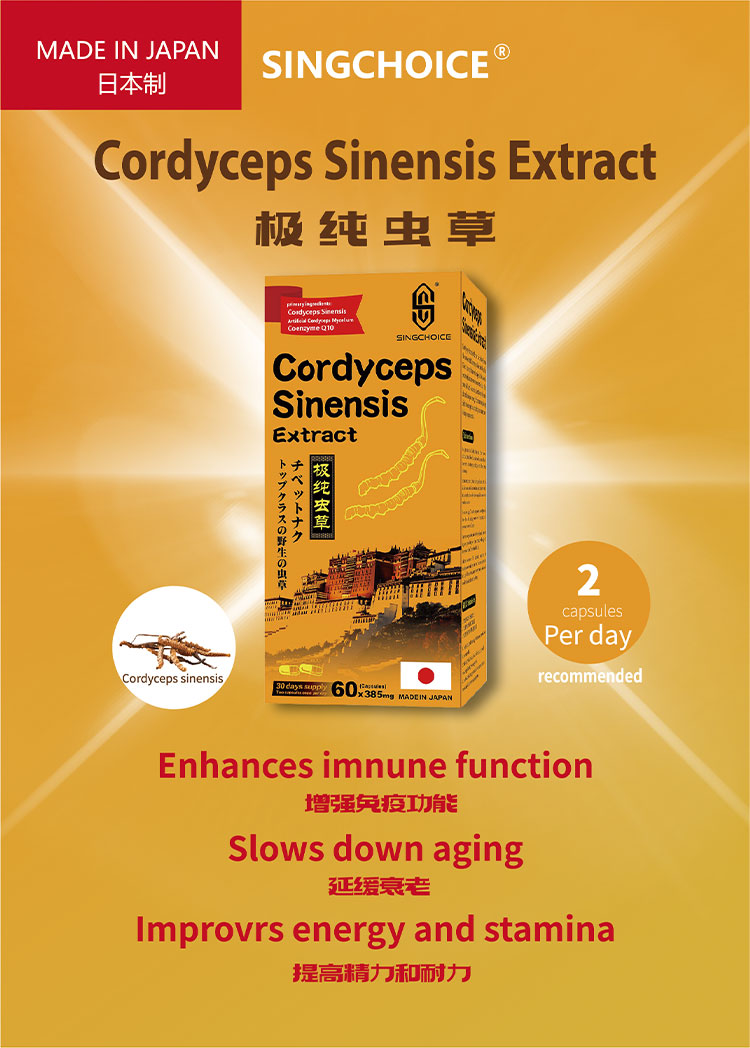 SINGCHOICE CORDYCEPS SINENSIS EXTRACT