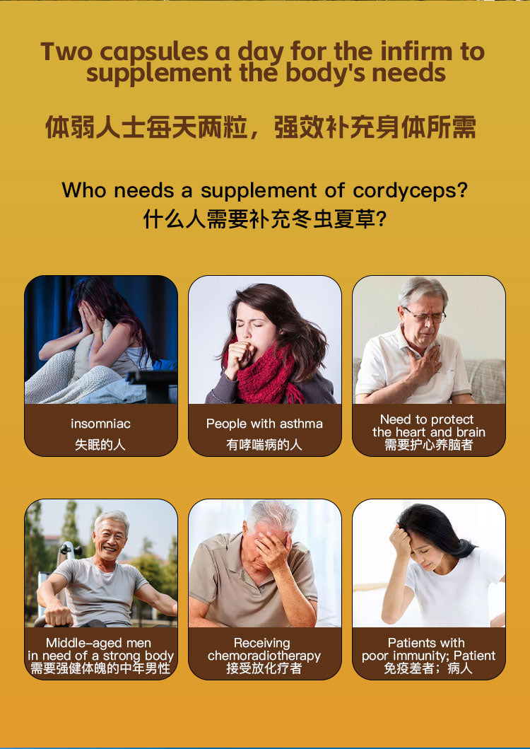 SINGCHOICE CORDYCEPS SINENSIS EXTRACT