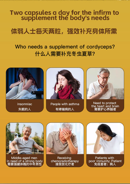 SINGCHOICE CORDYCEPS SINENSIS EXTRACT