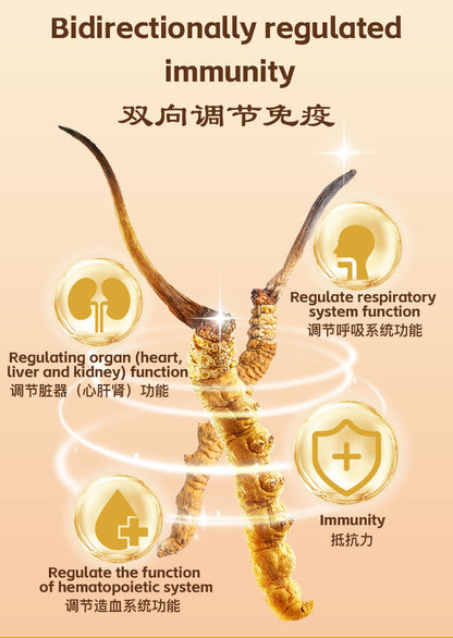 SINGCHOICE CORDYCEPS SINENSIS EXTRACT
