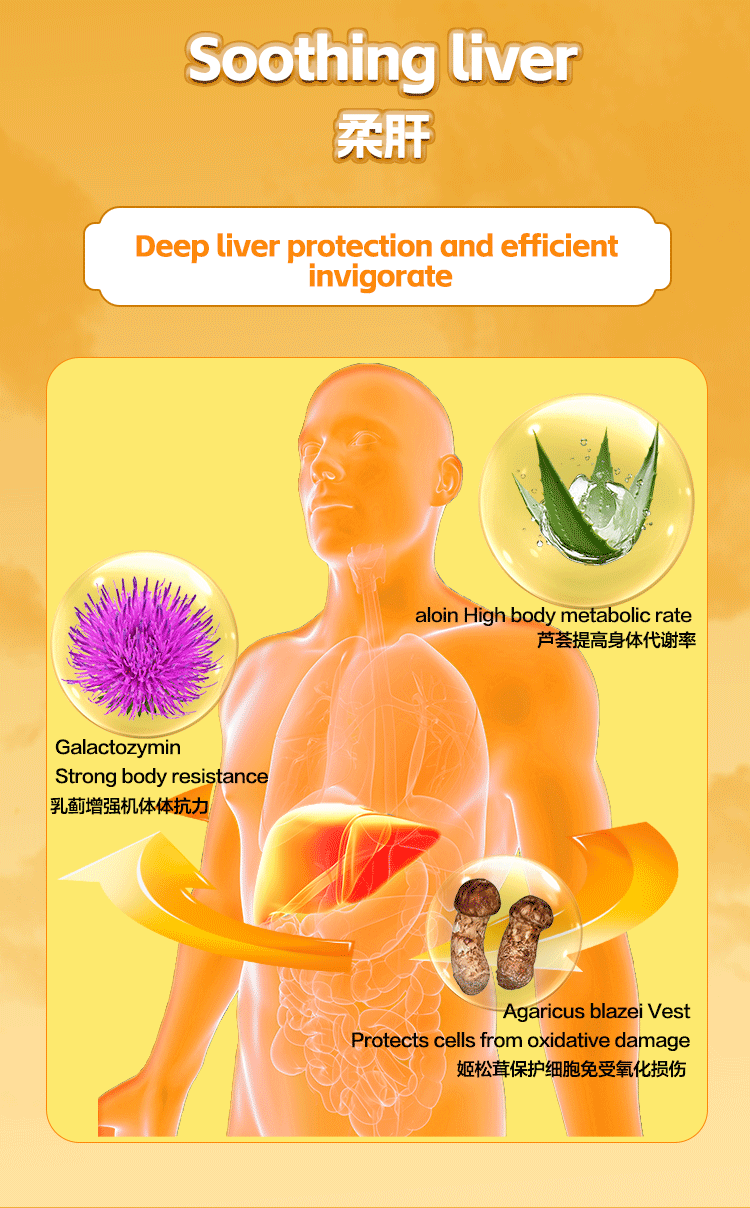 SINGCHOICE LIVER HEALTH PROTECTOR