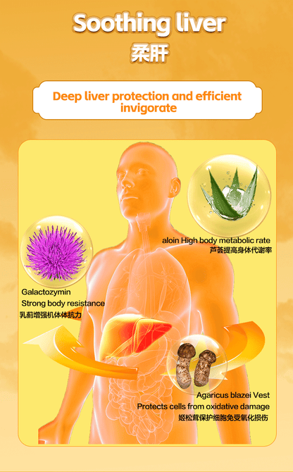 SINGCHOICE LIVER HEALTH PROTECTOR
