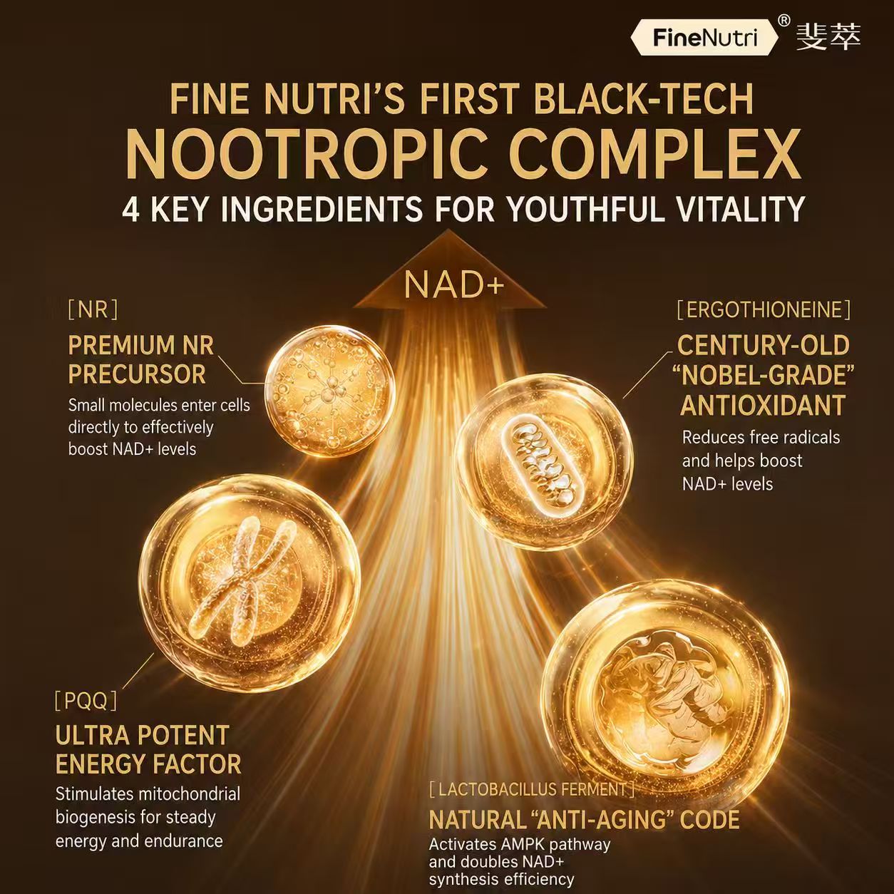 NAD+ Cellular Energy Bottle