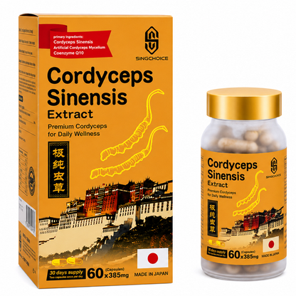 SINGCHOICE CORDYCEPS SINENSIS EXTRACT