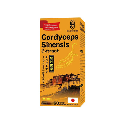 SINGCHOICE CORDYCEPS SINENSIS EXTRACT